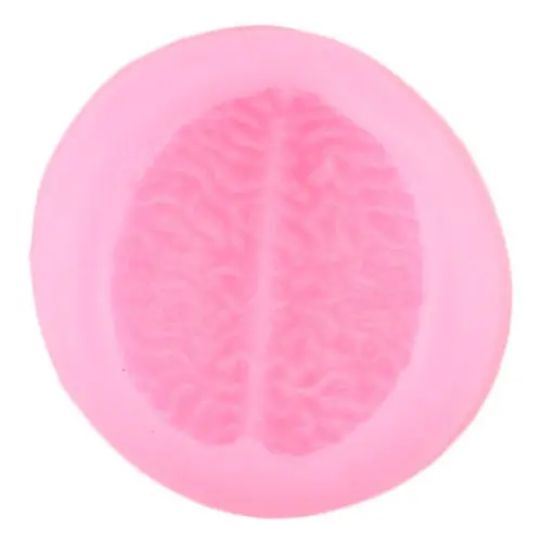 Anatomical Brain Silicone Mold For Educational Or Novelty Use 1