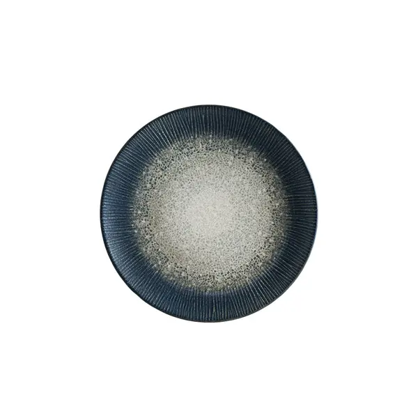 Arctic Gourmet 23Cm Flat Dinner Plate – Slim Profile Ceramic Tableware, 12-Count 1