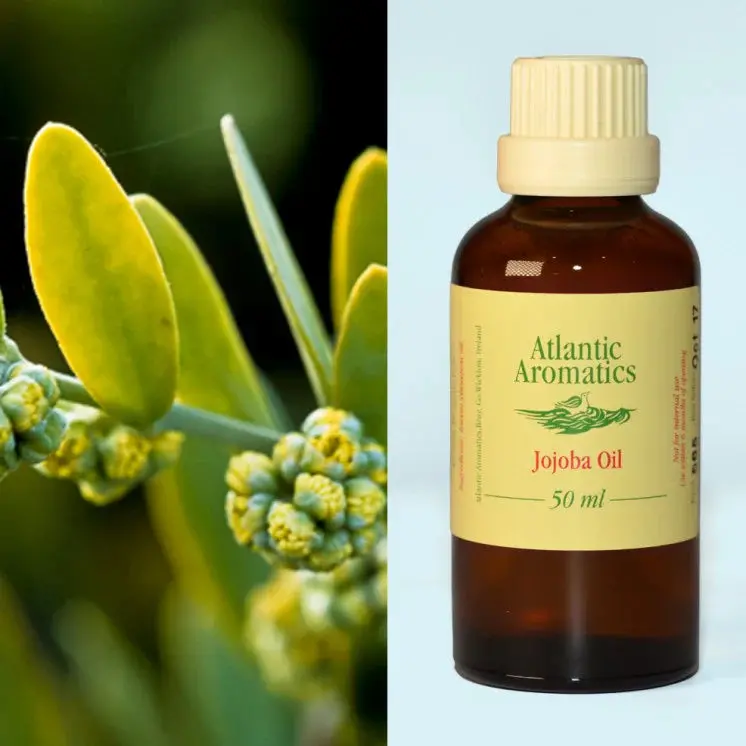 Atlantic Aromatics Cold-Pressed Organic Jojoba Carrier Oil – 3 Bottles (50Ml Each) 1