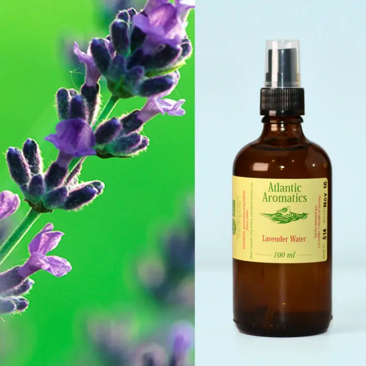 Atlantic Aromatics Natural Lavender Floral Water – 3 Bottles (100Ml Each) 1