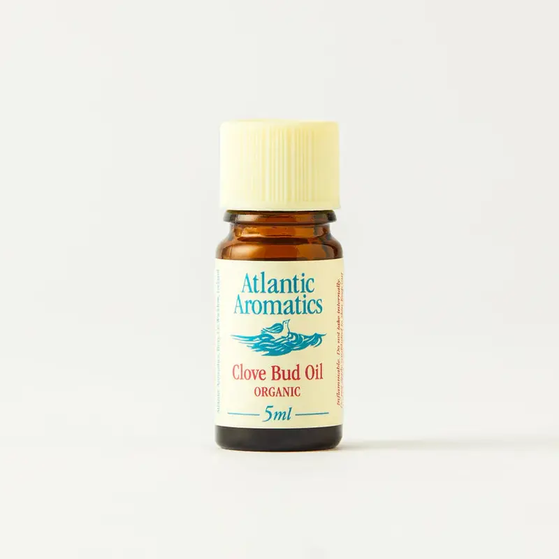 Atlantic Aromatics Organic Clove Bud Essential Oil – 3 Bottles (5Ml Each) 1