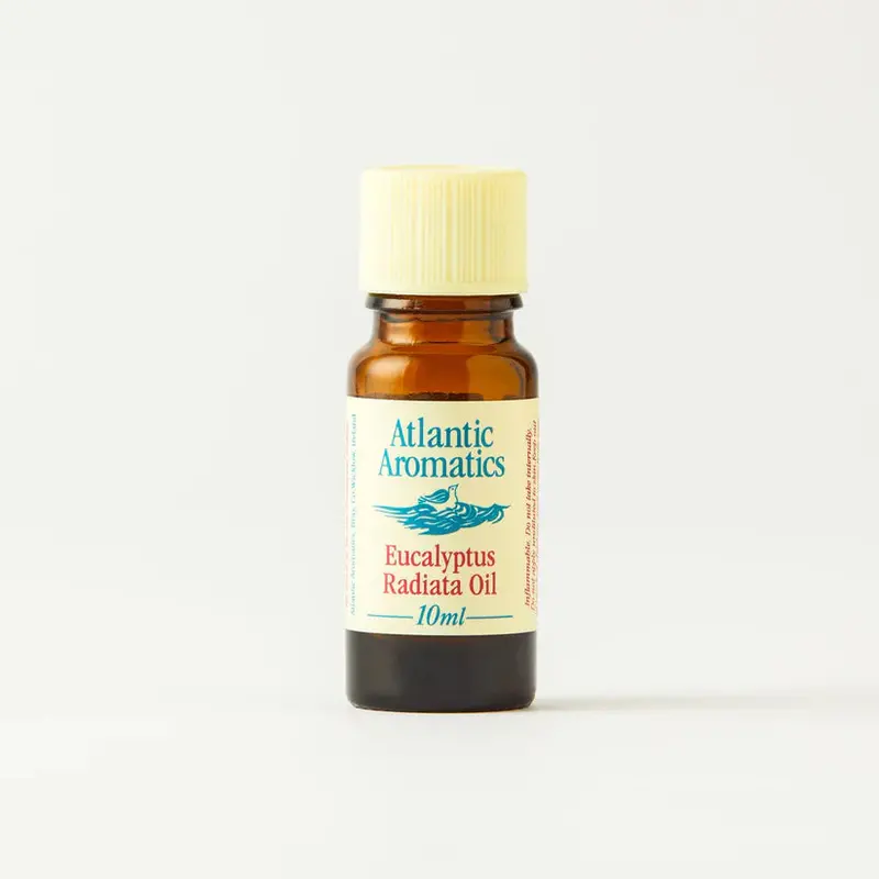 Atlantic Aromatics Organic Eucalyptus Radiata Essential Oil – Set Of 3 × 10 Ml Vials 1