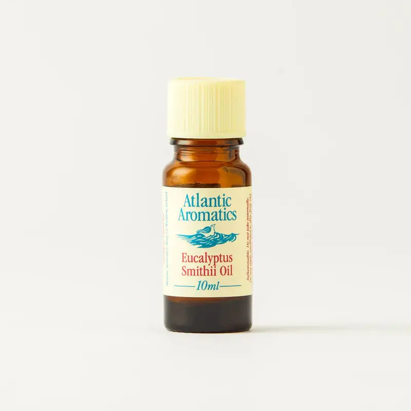 Atlantic Aromatics Organic Eucalyptus Smithii Essential Oil – Set Of 3 × 10 Ml Vials 1