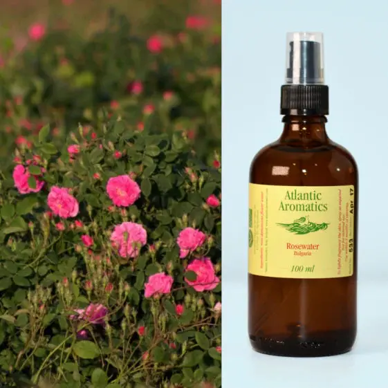 Atlantic Aromatics Organic Rosewater – Set Of 3 × 100 Ml Bottles 1