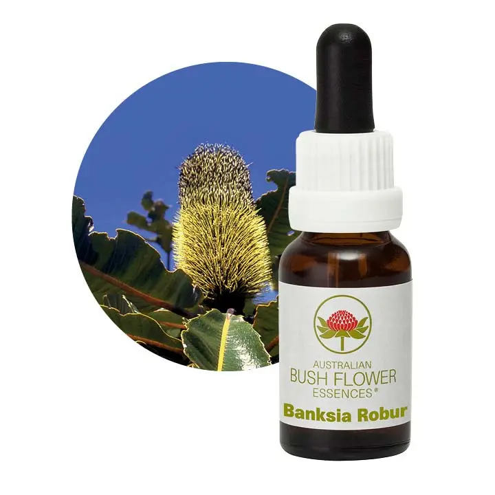 Australian Bush Banksia Robur Resilience Essence – 15Ml 1