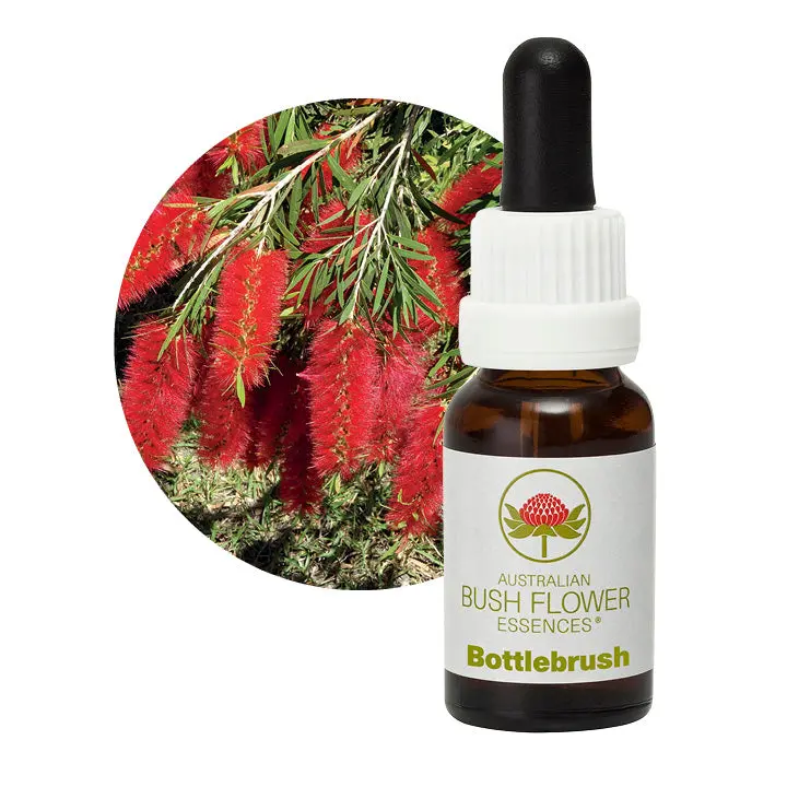 Australian Bush Bottlebrush Flower Essence – Focus & Clarity Elixir, 15Ml 1