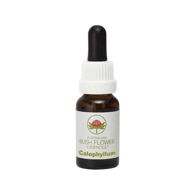 Australian Bush Calophyllum Balance Essence – 15Ml 1
