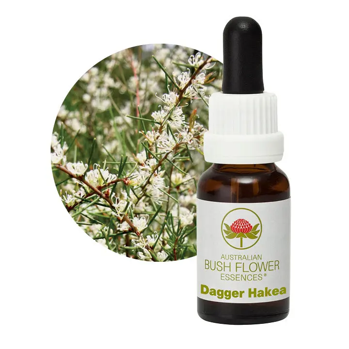 Australian Bush Dagger Hakea Vibrancy Elixir – 15Ml 1