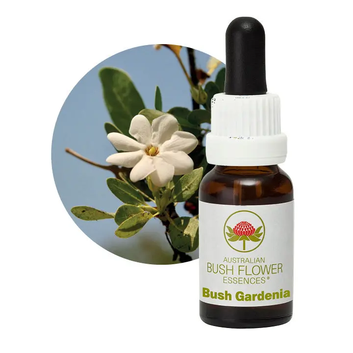 Australian Bush Gardenia Soothing Essence – 15Ml 1