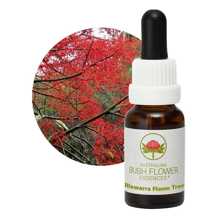 Australian Bush Illawarra Flame Tree Vitality Essence – 15Ml 1