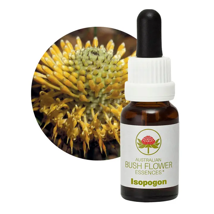 Australian Bush Isopogon Clarity Essence – 15Ml 1
