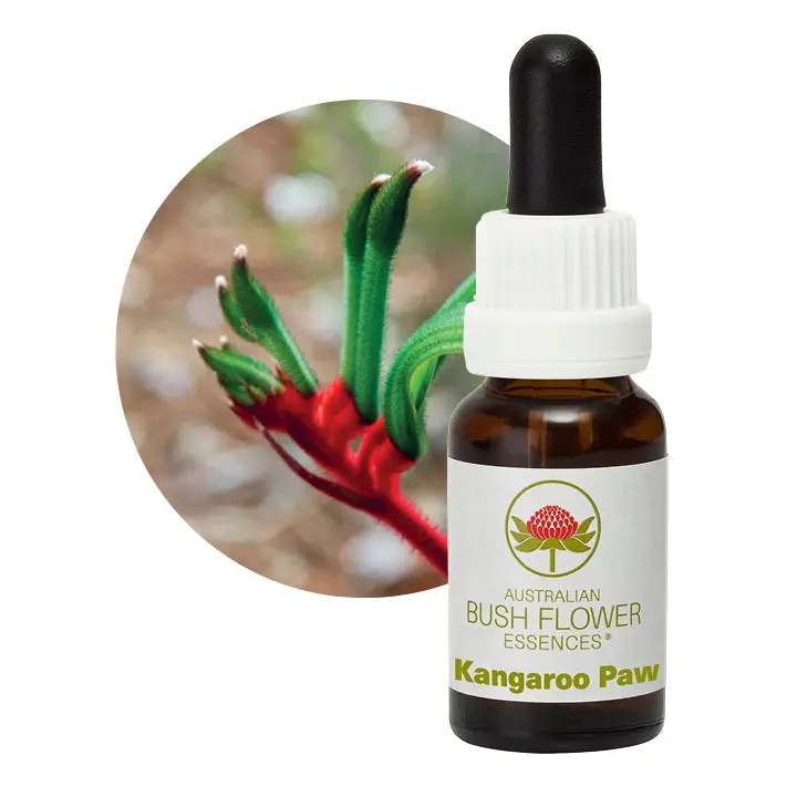 Australian Bush Kangaroo Paw Energy Remedy – 15Ml 1