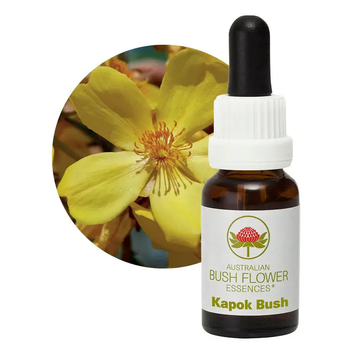 Australian Bush Kapok Bush Grounding Essence – 15Ml 1