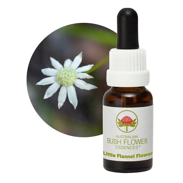 Australian Bush Little Flannel Flower Gentle Essence – 15Ml 1