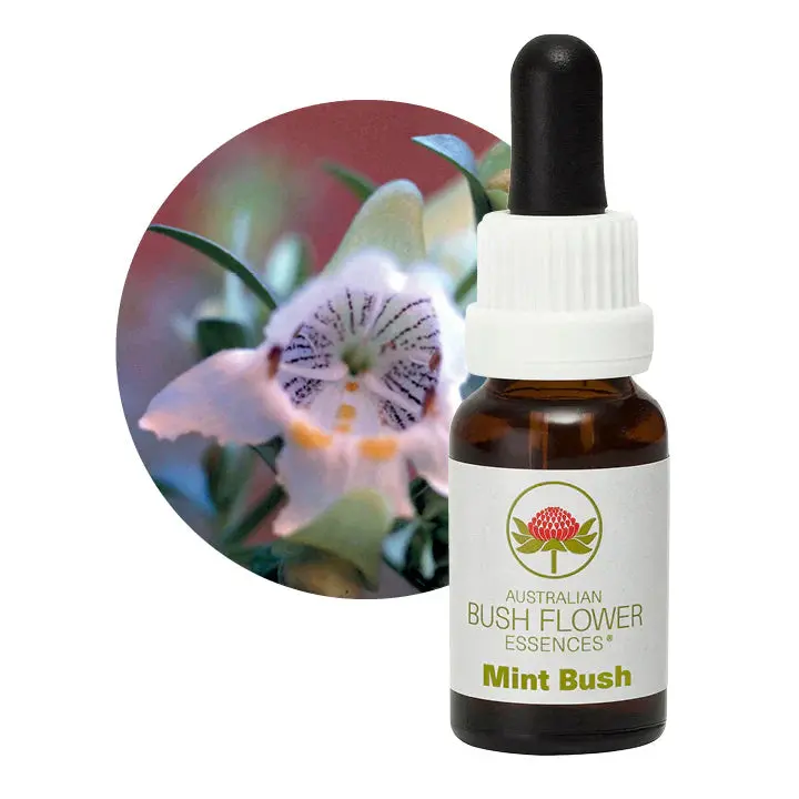 Australian Bush Mint Bush Refreshing Essence – 15Ml 1