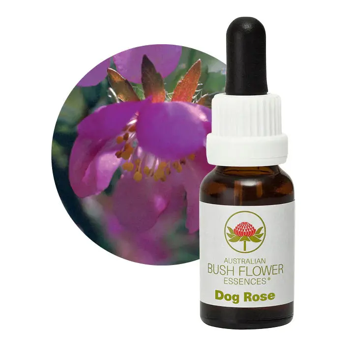 Australian Bush Native Dog Rose Essence – 15Ml 1