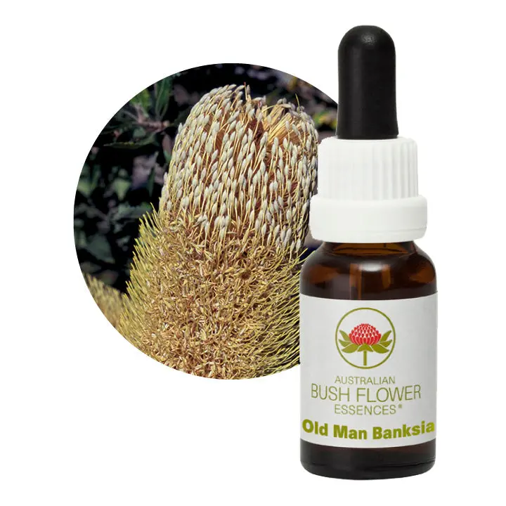 Australian Bush Old Man Banksia Wisdom Remedy – 15Ml 1