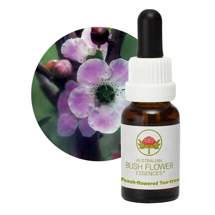 Australian Bush Peach-Flowered Tea Tree Remedy – 15Ml 1