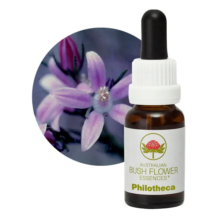 Australian Bush Philotheca Clarity Essence – 15Ml 1