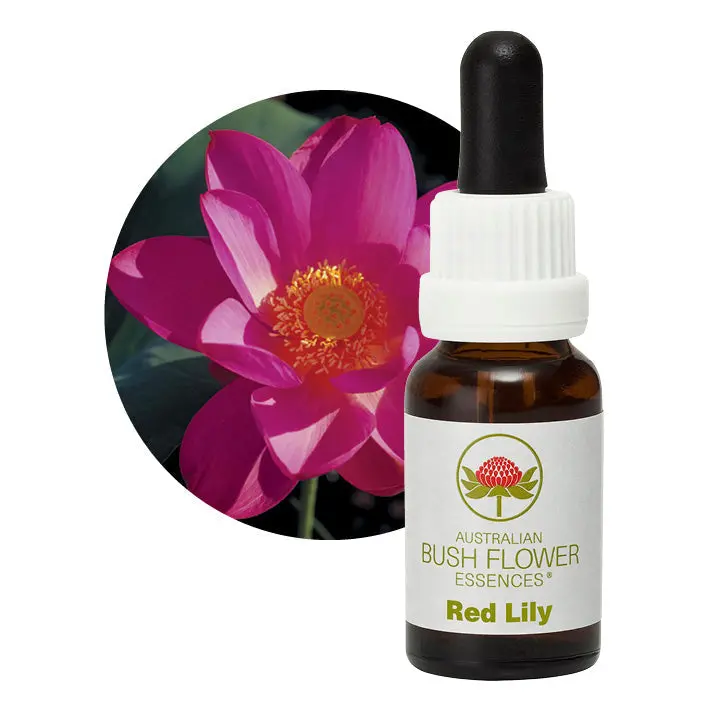 Australian Bush Red Lily Essence – Emotional Balance & Heart Support, 15Ml 1