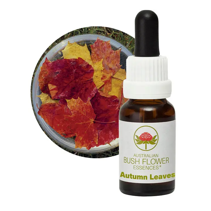 Autumn Leaves Bush Flower Essence – Seasonal Australian Botanical Blend, 15Ml 1