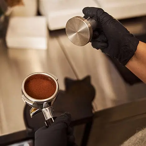 Barista Skills Certification Workshop – One-Day Intensive Training 1