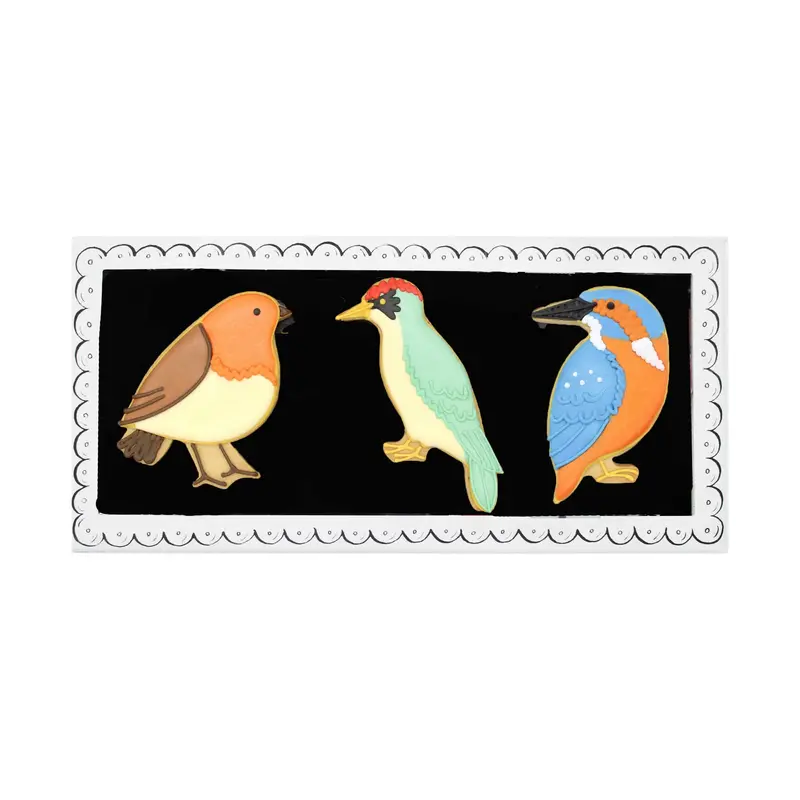 Biscuiteers Garden Birds Iced Biscuits – 40G Large Letterbox Cookie 1