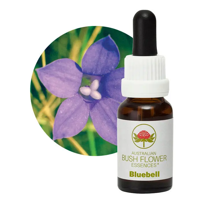 Bluebell Bush Flower Essence – Wild Australian Floral Tonic, 15Ml 1