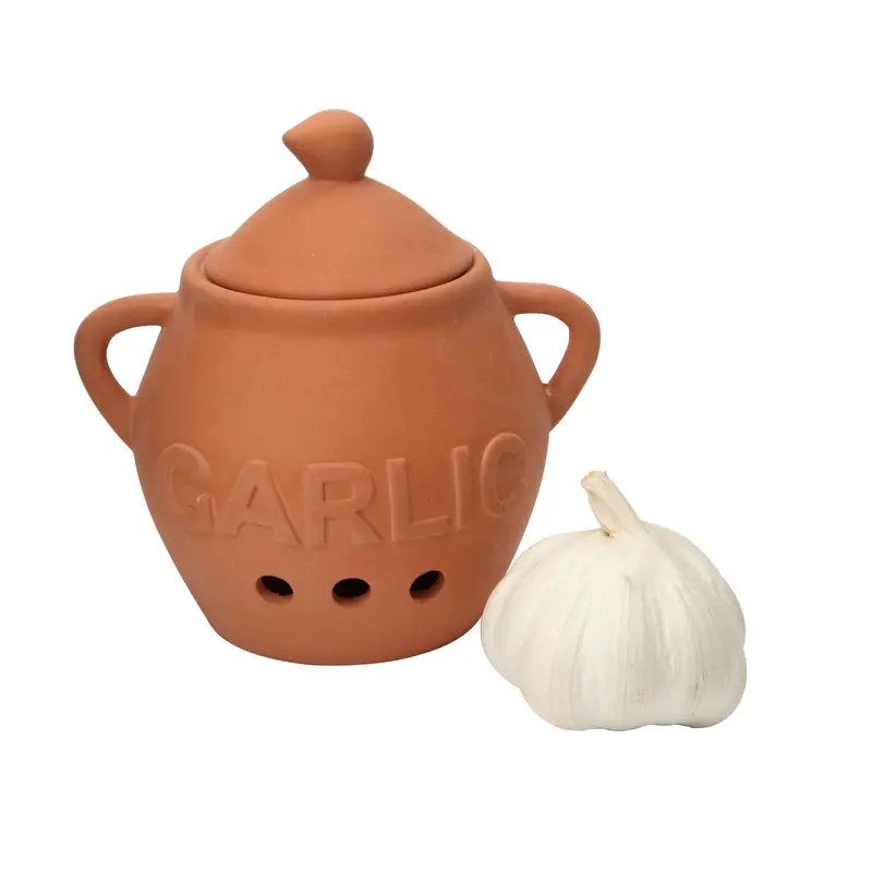 Dexam Natural Terracotta Garlic Keeper – Breathable Storage 1