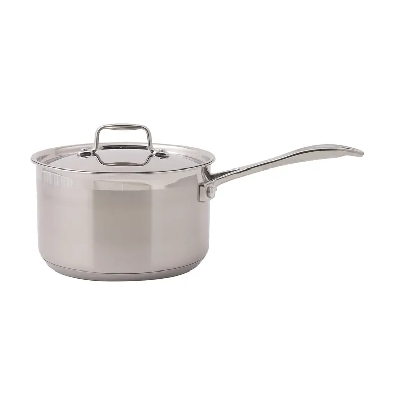 Dexam Supreme Stainless Steel Saucepan With Tempered Glass Lid 1