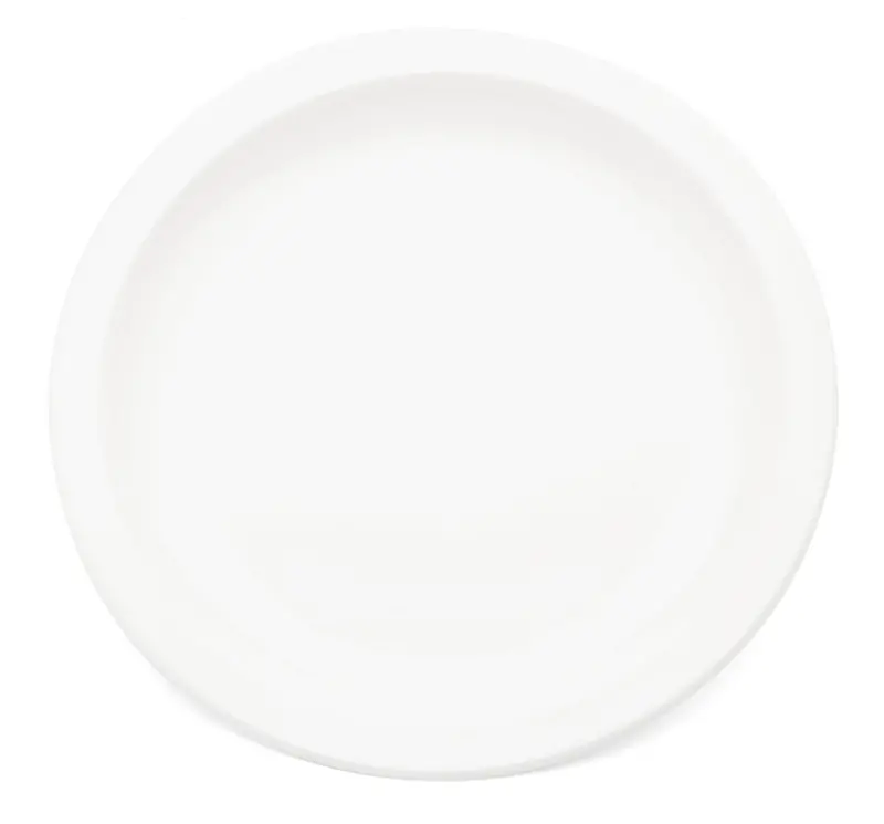 Narrow-Rimmed Small White Antibacterial Plate – Lightweight & Hygienic 1