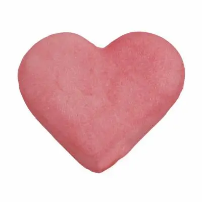 Pink Hibiscus Edible Luster Dust For Tropical-Themed Desserts 1