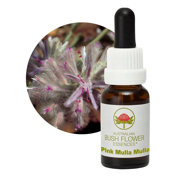 Pink Mulla Mulla Floral Essence – Distinctive Australian Native Infusion, 15Ml 1