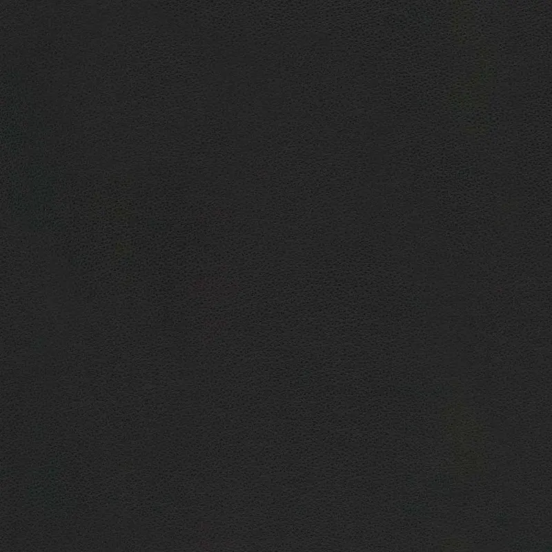 Salvador Black Italian Leather 1
