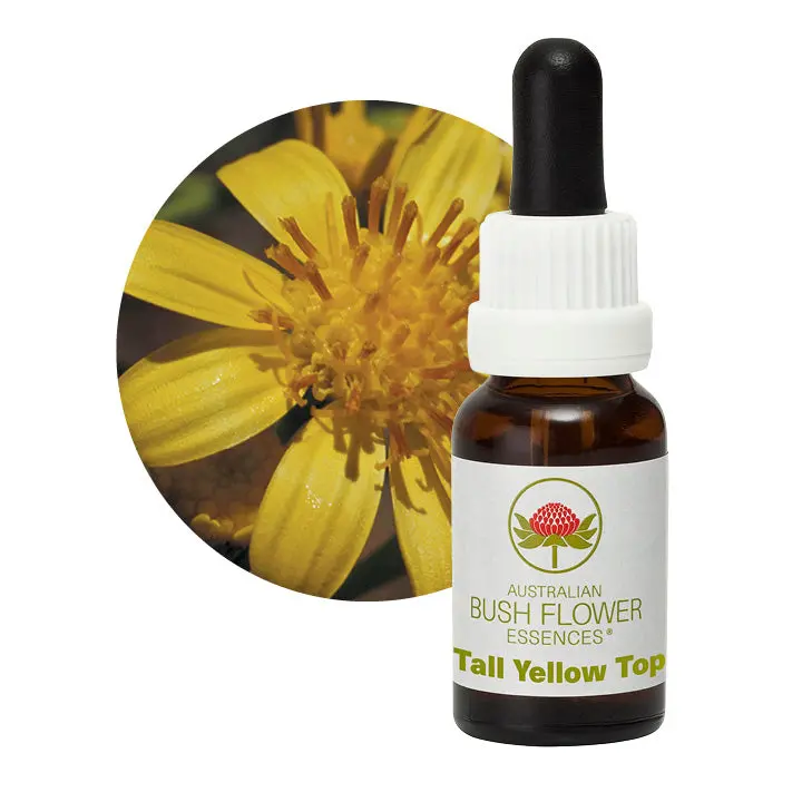 Tall Yellow Top Bush Flower Essence – Sun-Drenched Australian Wildflower, 15Ml 1